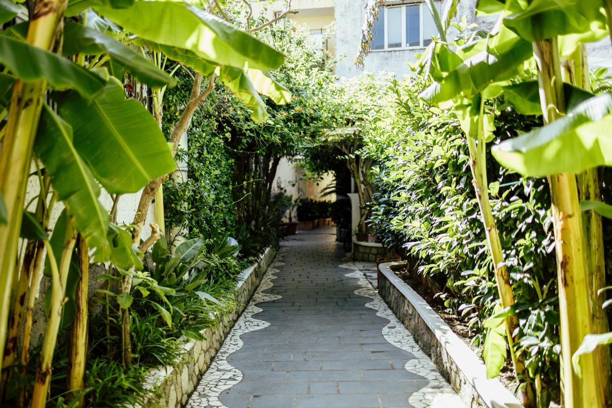 Hotel Terme Zi Carmela Forio  Exterior photo